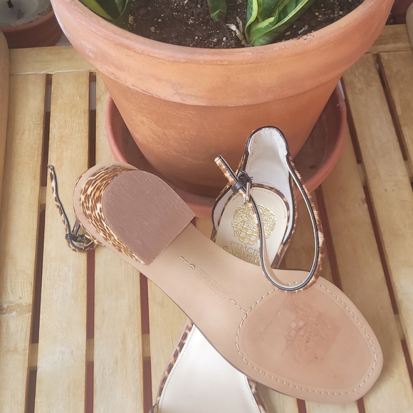 Size 12M T-Straps with  chunky 2"heels. - Picture 5 of 8